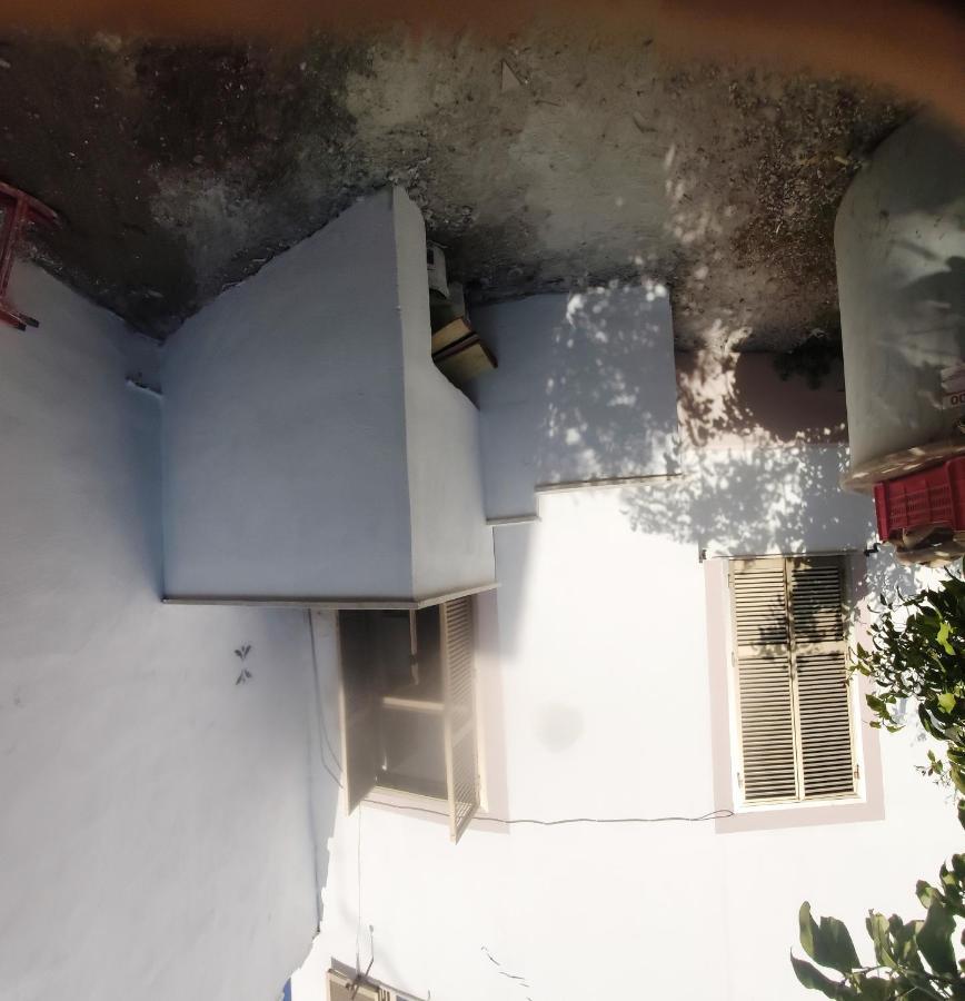 Whole Holiday Home Apartment Lovely Civitavecchia Da Pamino & Priscilla Экстерьер фото